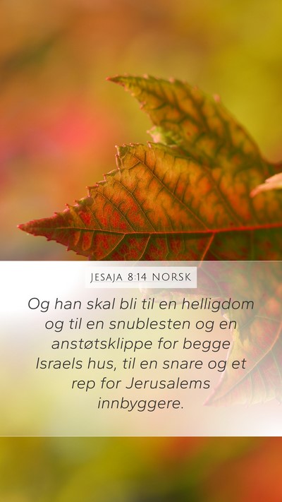 Jesaja 8:14 NORSK Bible Verse Image
