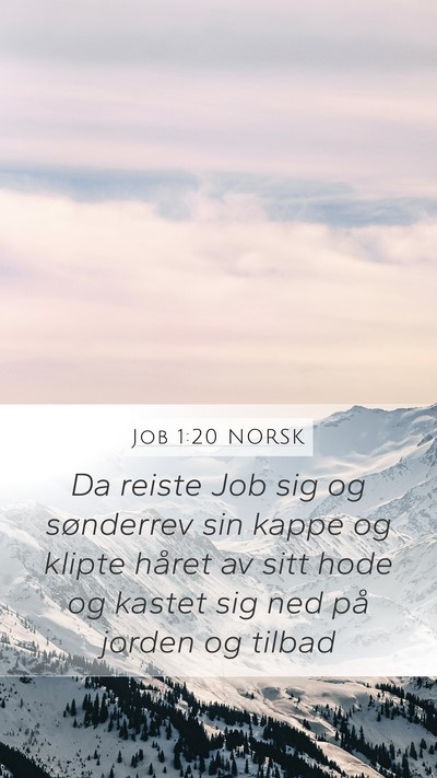Job 1:20 NORSK Bible Verse Image