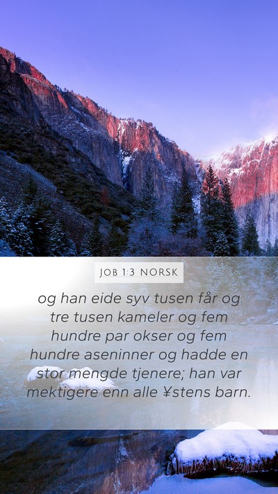 Job 1:3 NORSK Bible Verse Image