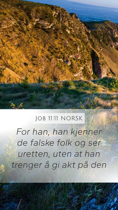 Job 11:11 NORSK Bible Verse Image