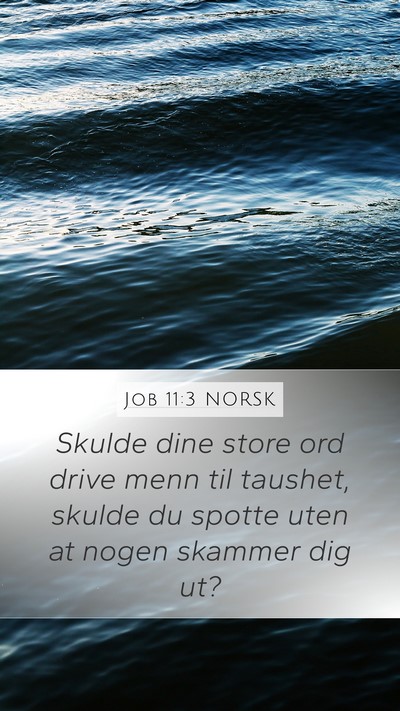 Job 11:3 NORSK Bible Verse Image