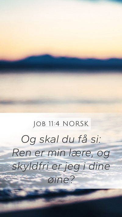Job 11:4 NORSK Bible Verse Image