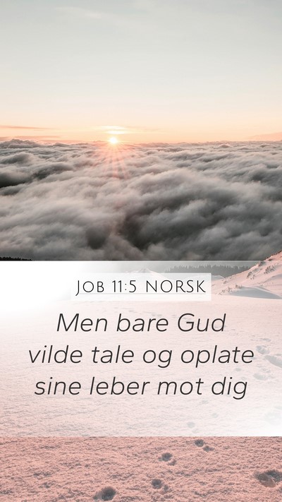 Job 11:5 NORSK Bible Verse Image