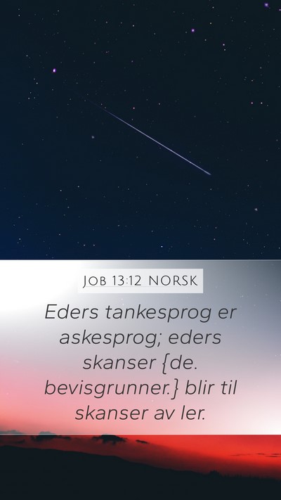 Job 13:12 NORSK Bible Verse Image