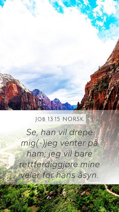 Job 13:15 NORSK Bible Verse Image