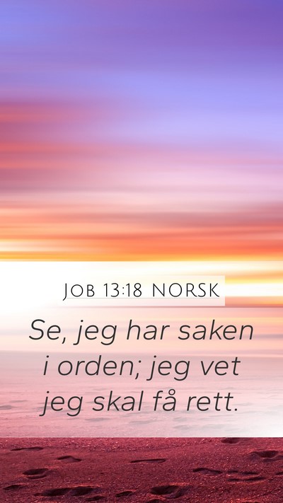 Job 13:18 NORSK Bible Verse Image