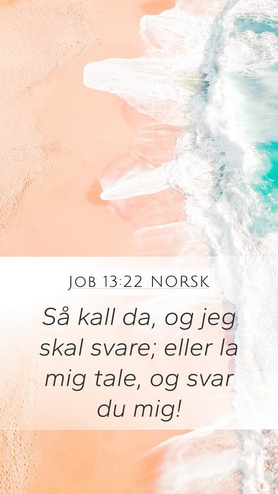 Job 13:22 NORSK Bible Verse Image