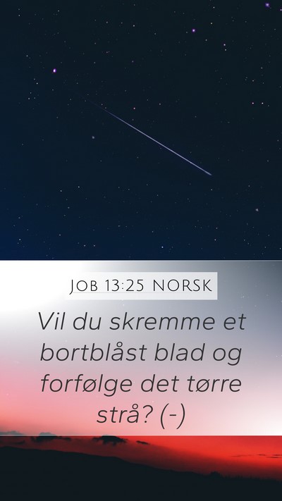 Job 13:25 NORSK Bible Verse Image