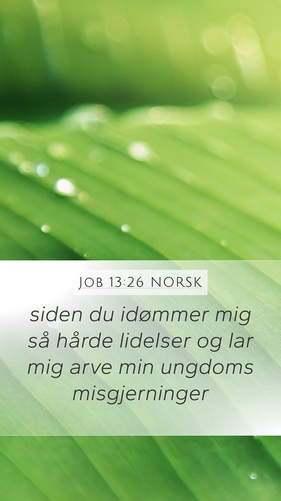 Job 13:26 NORSK Bible Verse Image