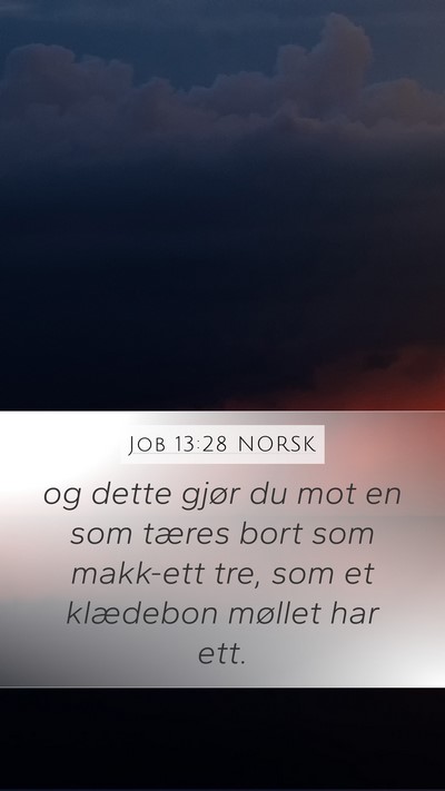 Job 13:28 NORSK Bible Verse Image