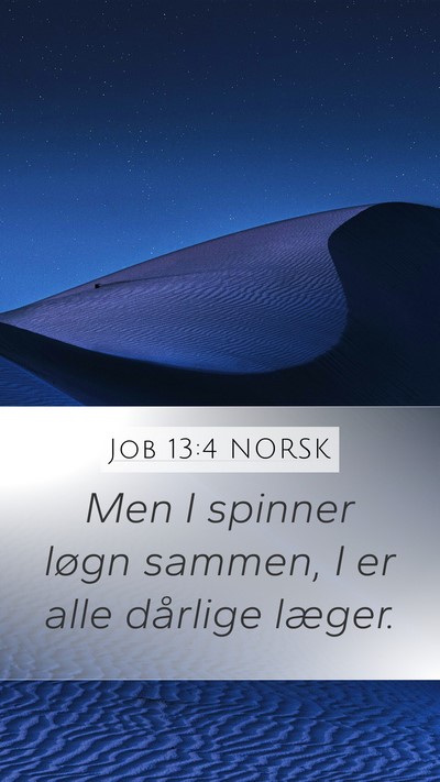 Job 13:4 NORSK Bible Verse Image