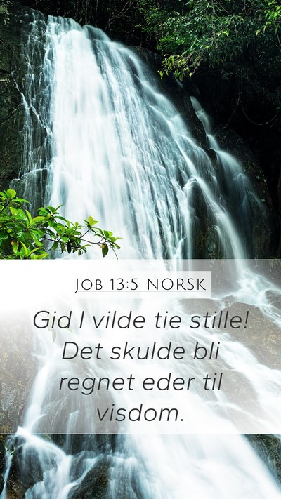 Job 13:5 NORSK Bible Verse Image