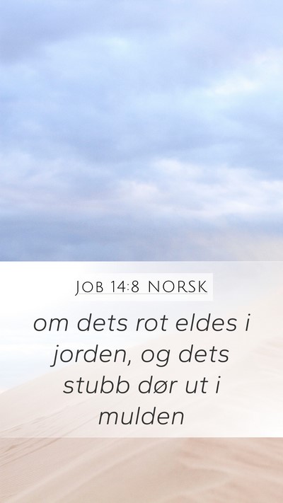 Job 14:8 NORSK Mobile Phone Wallpaper - om dets rot eldes i jorden, og dets stubb dør ut - Mobile Bible Verse Wallpaper