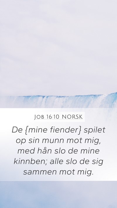 Job 16:10 NORSK Bible Verse Image