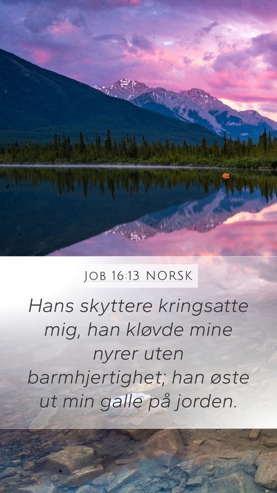 Job 16:13 NORSK Bible Verse Image