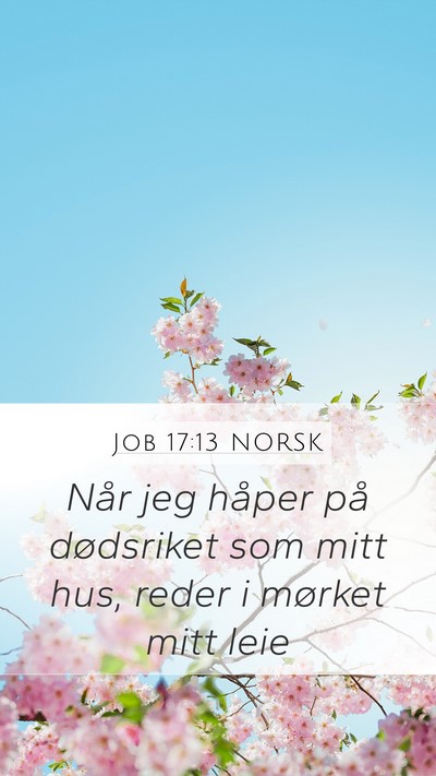 Job 17:13 NORSK Bible Verse Image