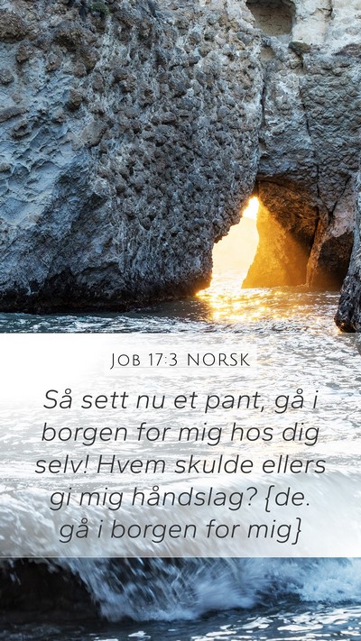 Job 17:3 NORSK Bible Verse Image
