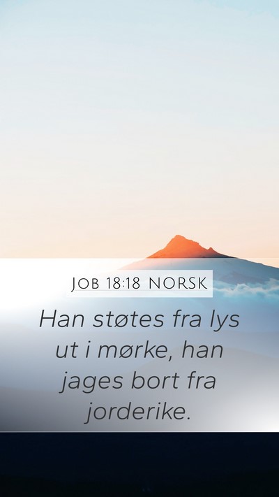 Job 18:18 NORSK Bible Verse Image