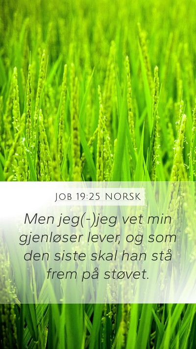 Job 19:25 NORSK Bible Verse Image