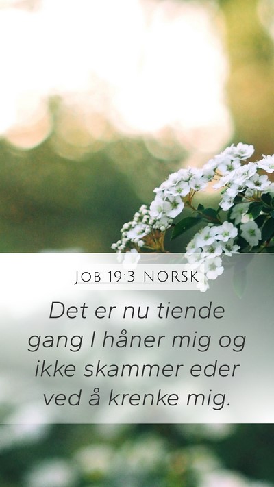 Job 19:3 NORSK Bible Verse Image
