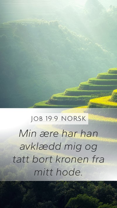 Job 19:9 NORSK Bible Verse Image