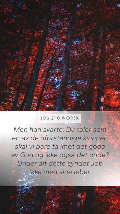 Job 2:10 NORSK Bible Verse Image