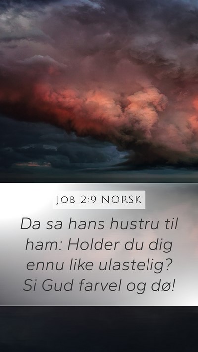 Job 2:9 NORSK Bible Verse Image