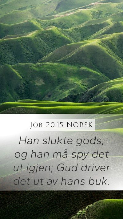 Job 20:15 NORSK Bible Verse Image