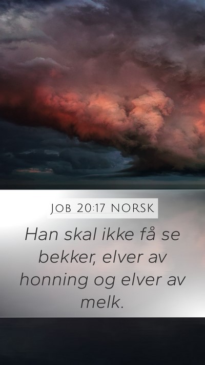 Job 20:17 NORSK Bible Verse Image