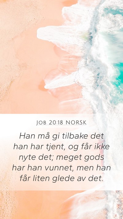 Job 20:18 NORSK Bible Verse Image
