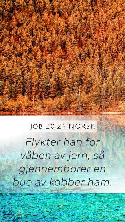 Job 20:24 NORSK Bible Verse Image