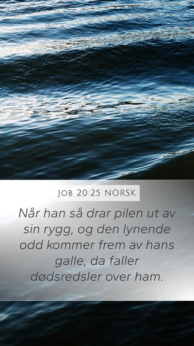 Job 20:25 NORSK Bible Verse Image