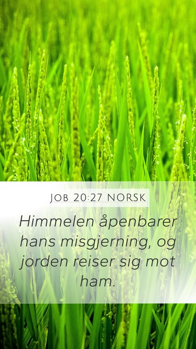 Job 20:27 NORSK Bible Verse Image