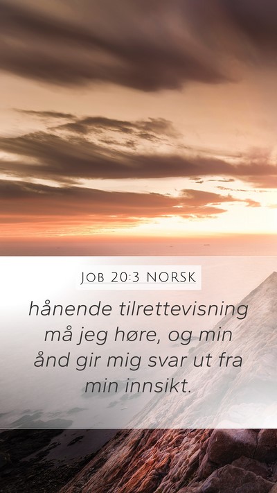 Job 20:3 NORSK Bible Verse Image