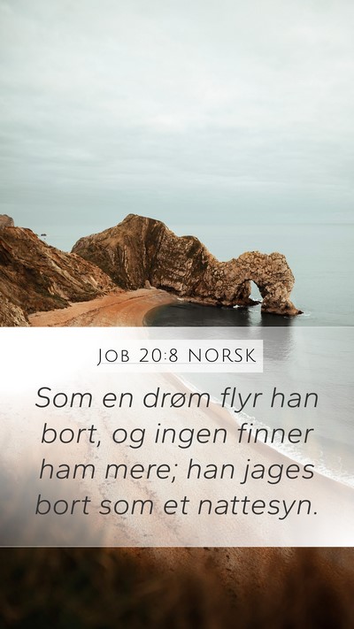 Job 20:8 NORSK Bible Verse Image