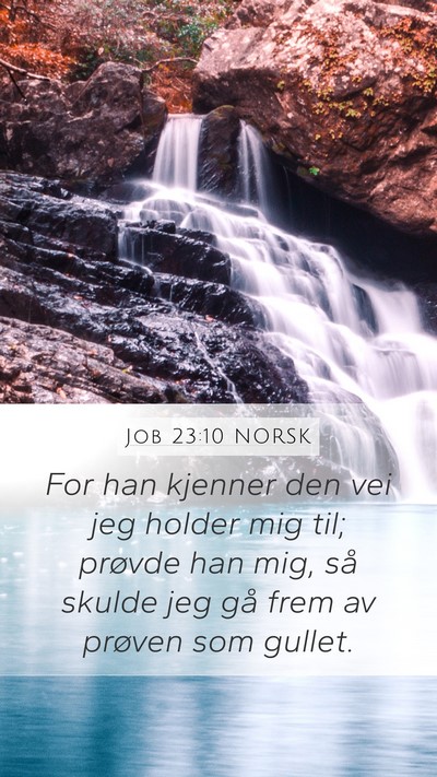 Job 23:10 NORSK Bible Verse Image