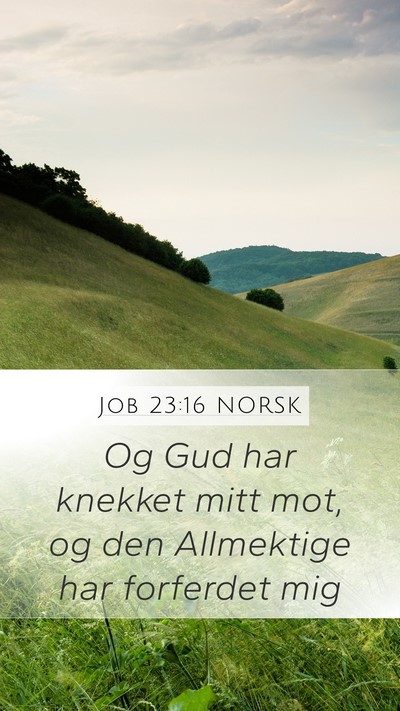 Job 23:16 NORSK Bible Verse Image