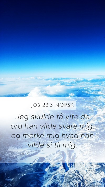 Job 23:5 NORSK Bible Verse Image