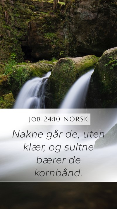 Job 24:10 NORSK Bible Verse Image