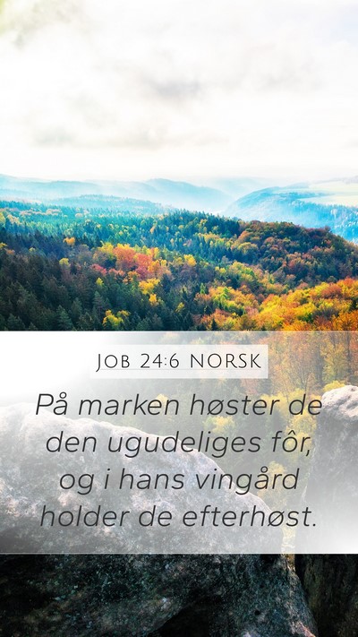Job 24:6 NORSK Mobile Phone Wallpaper - På marken høster de den ugudeliges fôr, og i - Mobile Bible Verse Wallpaper