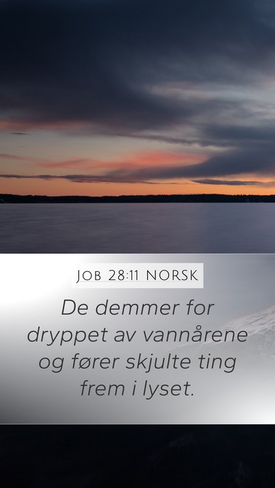 Job 28:11 NORSK Bible Verse Image