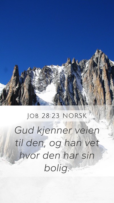 Job 28:23 NORSK Mobile Phone Wallpaper - Gud kjenner veien til den, og han vet hvor den - Mobile Bible Verse Wallpaper