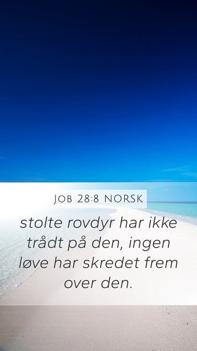 Job 28:8 NORSK Mobile Phone Wallpaper - stolte rovdyr har ikke trådt på den, ingen - Mobile Bible Verse Wallpaper