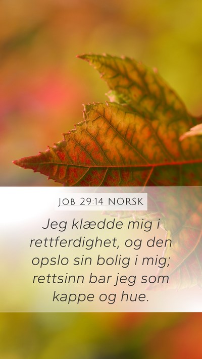Job 29:14 NORSK Bible Verse Image
