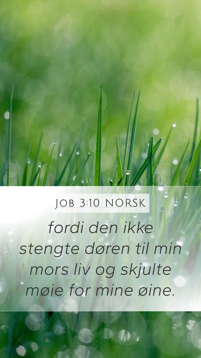 Job 3:10 NORSK Bible Verse Image