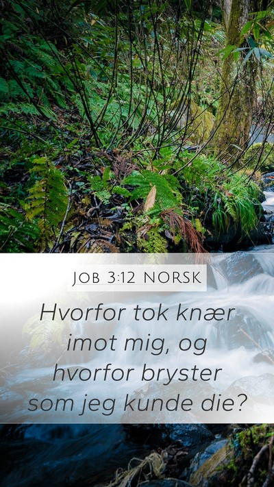 Job 3:12 NORSK Bible Verse Image