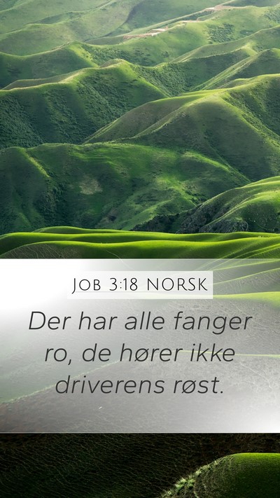 Job 3:18 NORSK Bible Verse Image