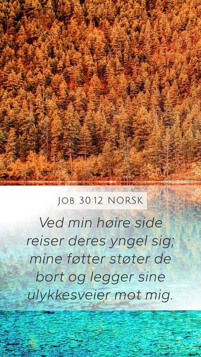 Job 30:12 NORSK Bible Verse Image