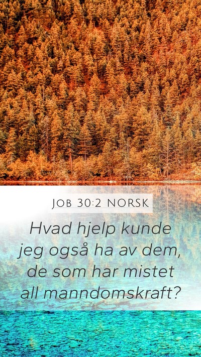 Job 30:2 NORSK Mobile Phone Wallpaper - Hvad hjelp kunde jeg også ha av dem, de som har - Mobile Bible Verse Wallpaper