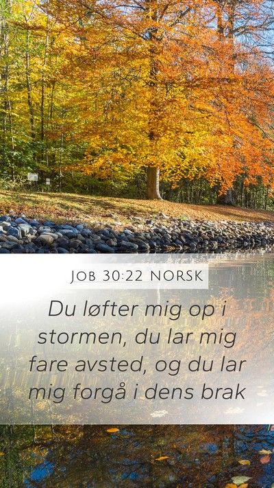 Job 30:22 NORSK Mobile Phone Wallpaper - Du løfter mig op i stormen, du lar mig fare - Mobile Bible Verse Wallpaper